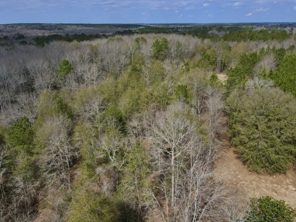 21518 Homer Smith Road Andalusia AL 36421