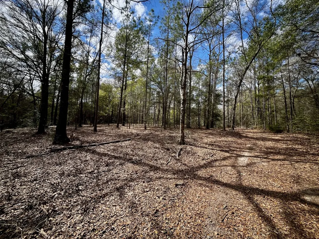 21518 Homer Smith Road Andalusia AL 36421