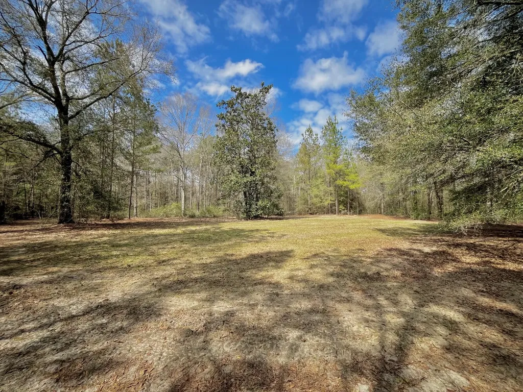 21518 Homer Smith Road Andalusia AL 36421