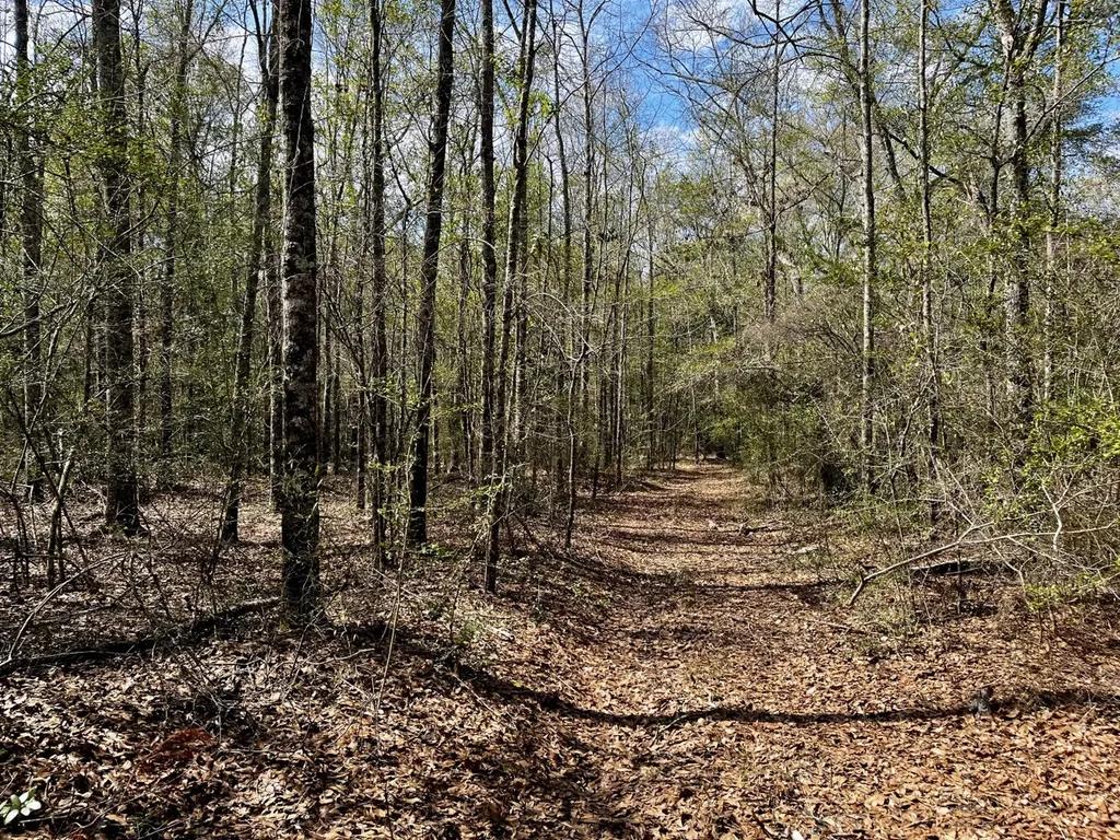 21518 Homer Smith Road Andalusia AL 36421