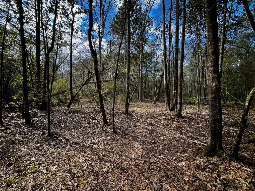 21518 Homer Smith Road Andalusia AL 36421
