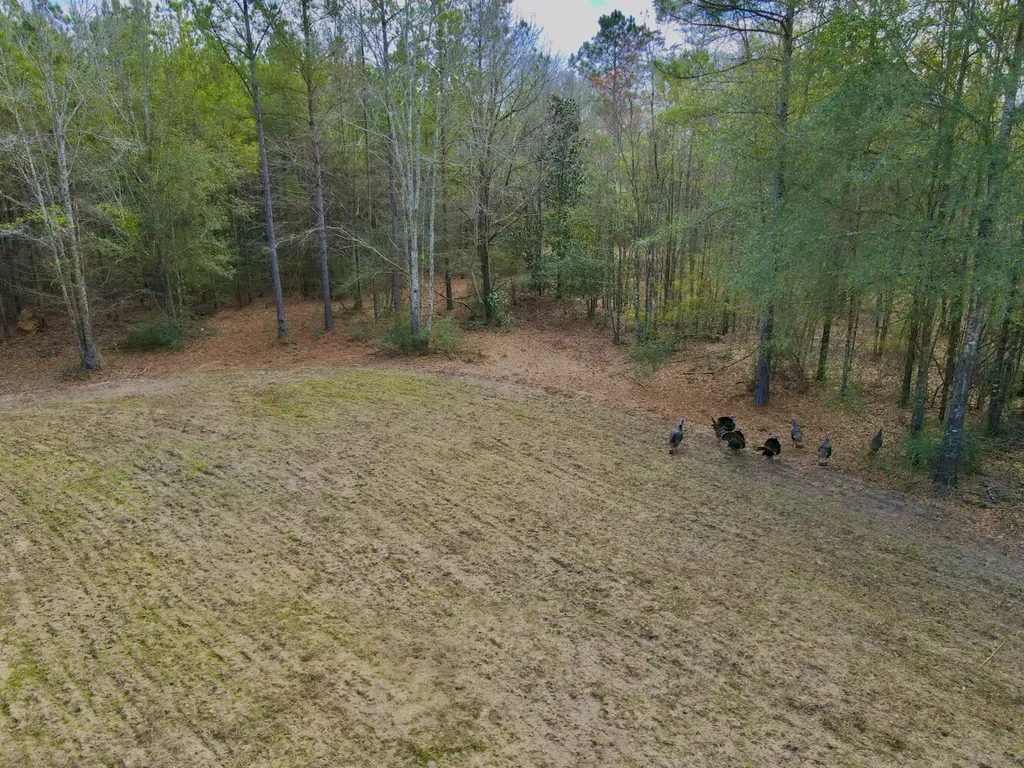 21518 Homer Smith Road Andalusia AL 36421