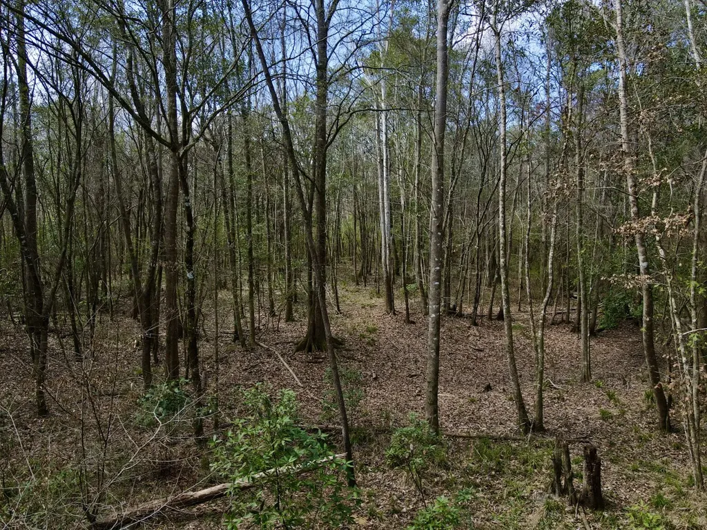 21518 Homer Smith Road Andalusia AL 36421