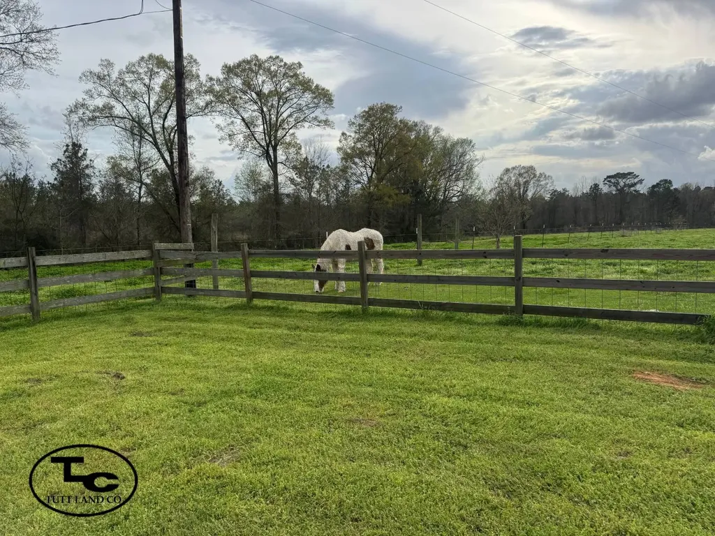 200 Jones River Road Camden AL 36726