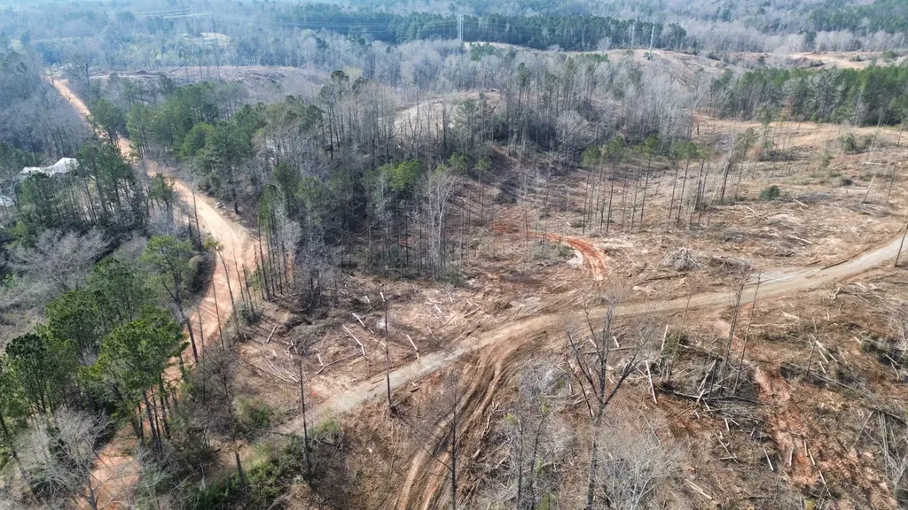 0 Peacock Road Fulton AL 36451
