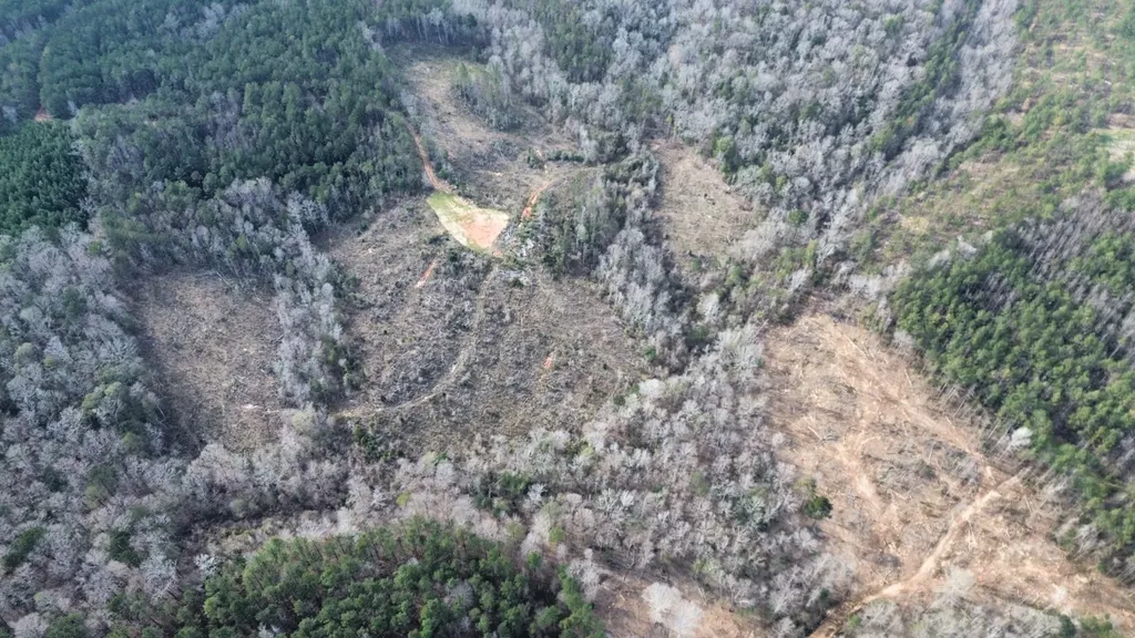 0 Peacock Road Fulton AL 36451