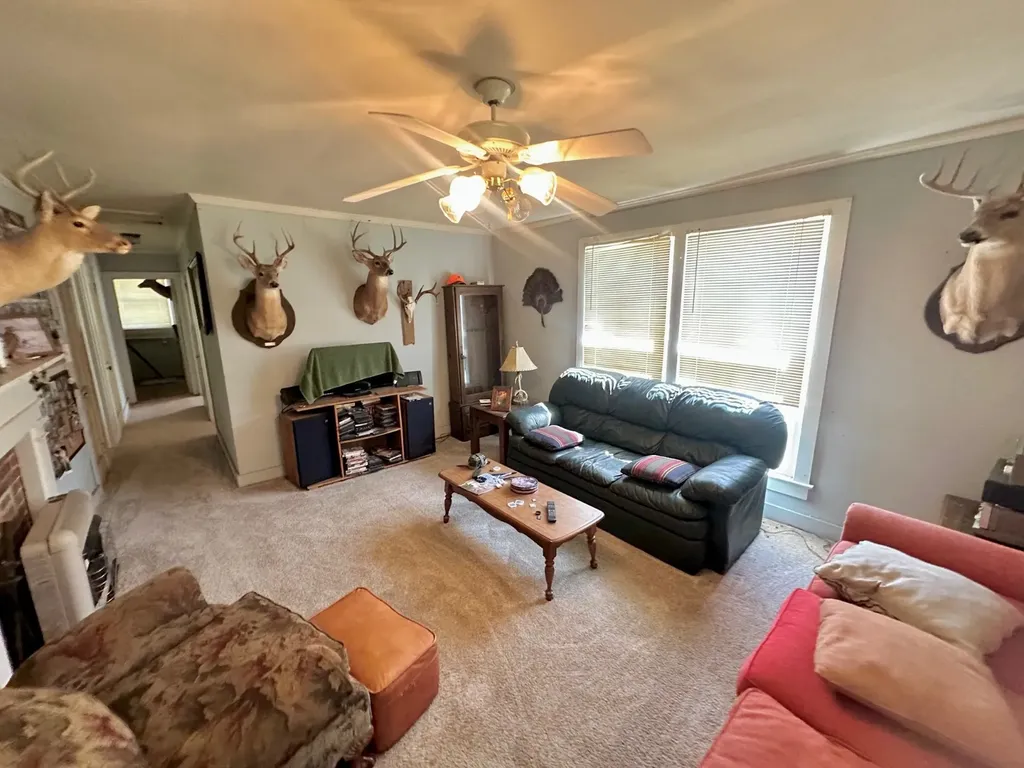 919 County Road 6628 Banks AL 36005