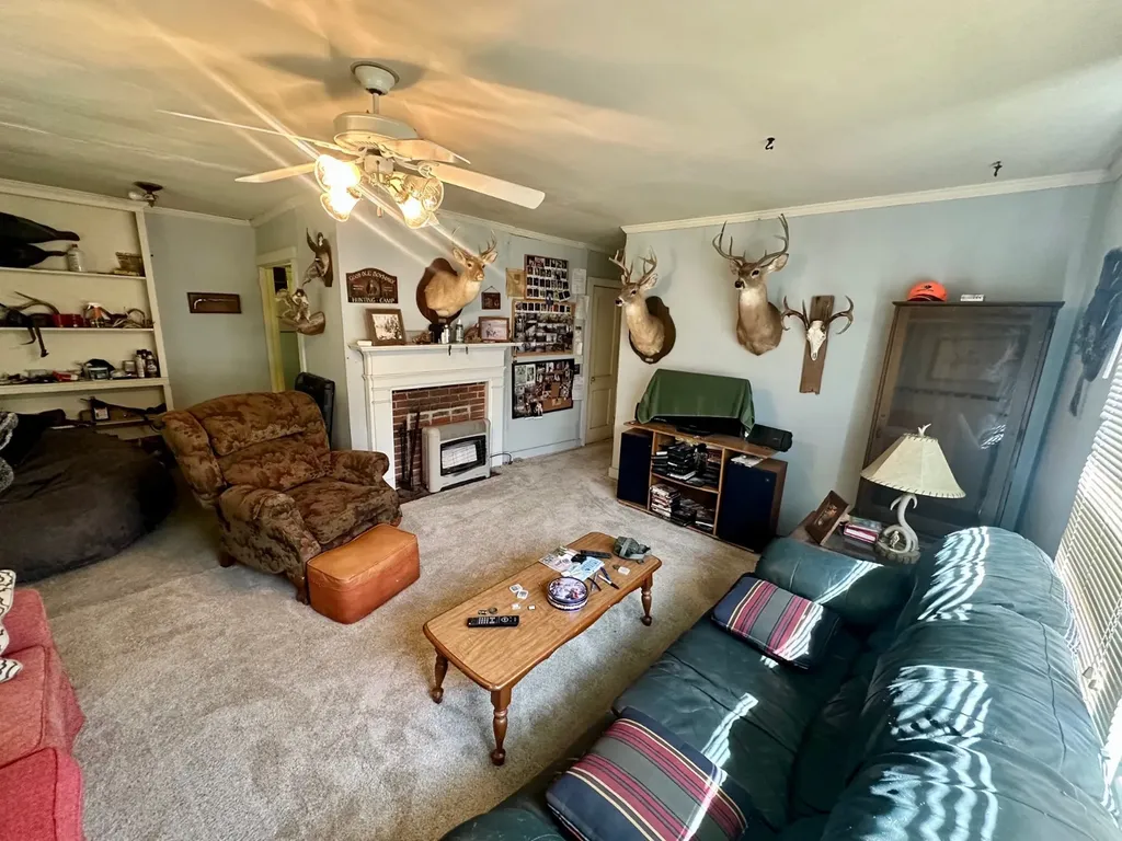 919 County Road 6628 Banks AL 36005