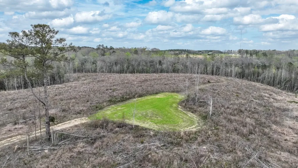 919 County Road 6628 Banks AL 36005