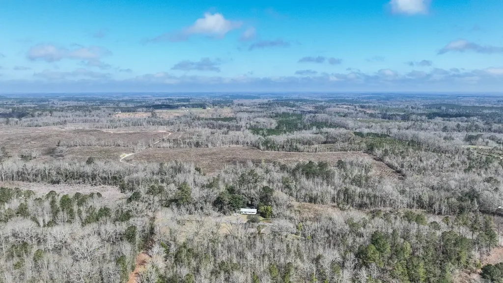 919 County Road 6628 Banks AL 36005