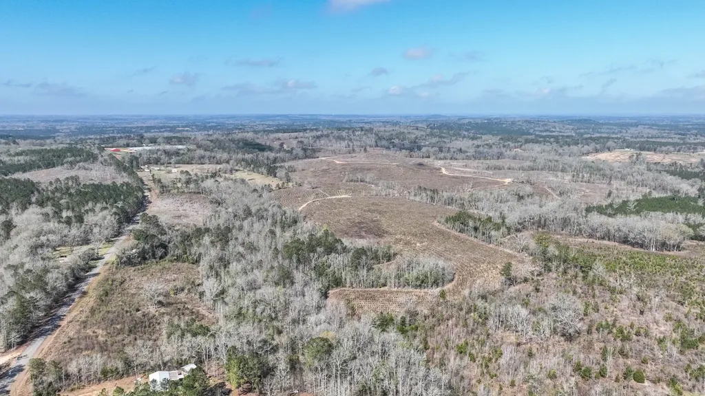 919 County Road 6628 Banks AL 36005