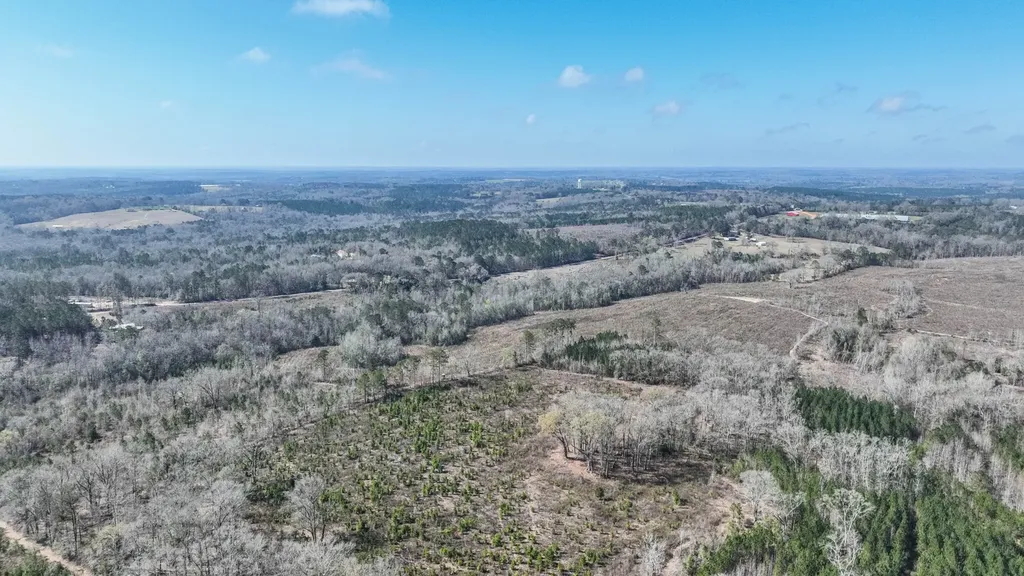 919 County Road 6628 Banks AL 36005
