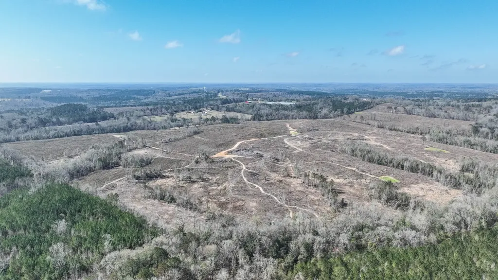 919 County Road 6628 Banks AL 36005