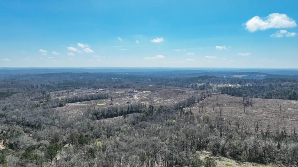 919 County Road 6628 Banks AL 36005