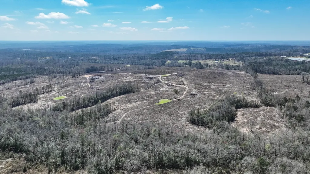 919 County Road 6628 Banks AL 36005
