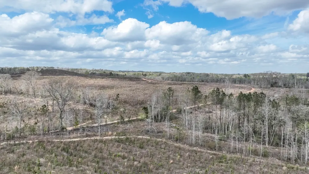 919 County Road 6628 Banks AL 36005