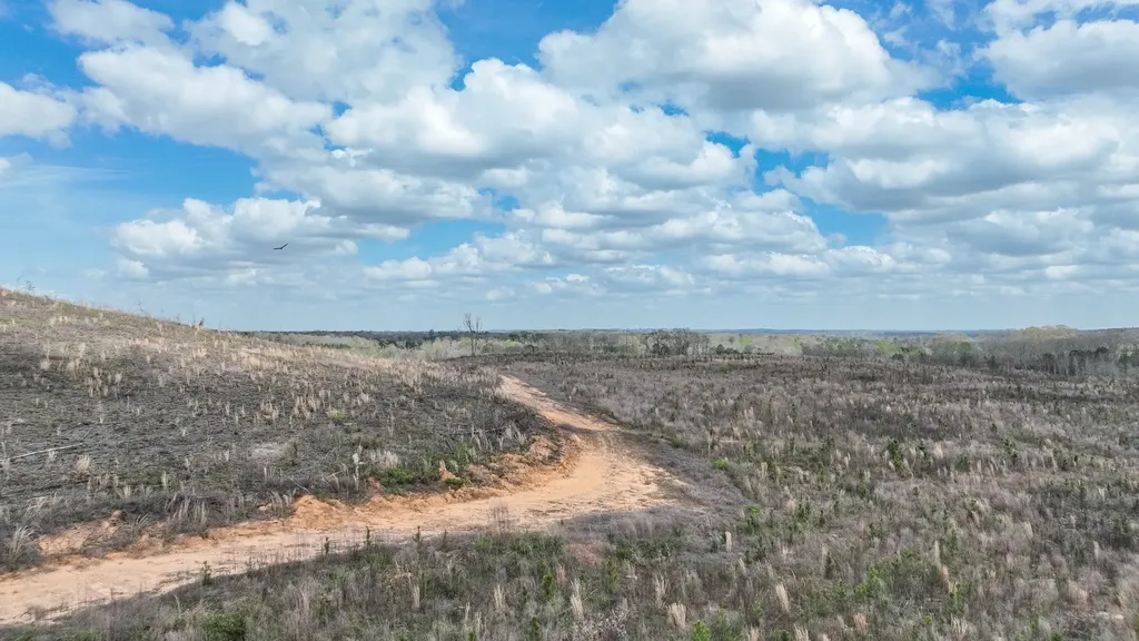 919 County Road 6628 Banks AL 36005