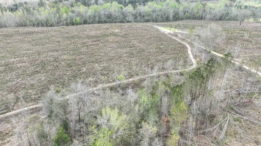 919 County Road 6628 Banks AL 36005