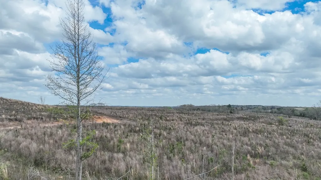 919 County Road 6628 Banks AL 36005
