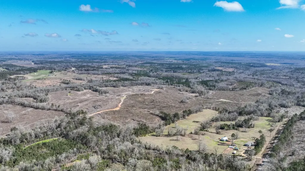 919 County Road 6628 Banks AL 36005