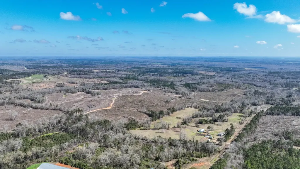 919 County Road 6628 Banks AL 36005