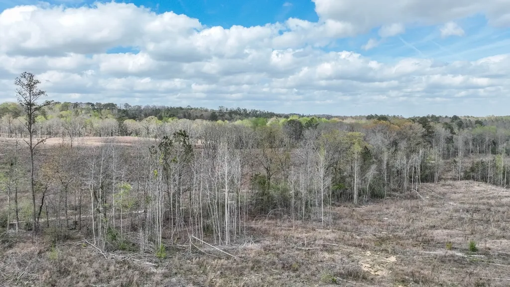 919 County Road 6628 Banks AL 36005