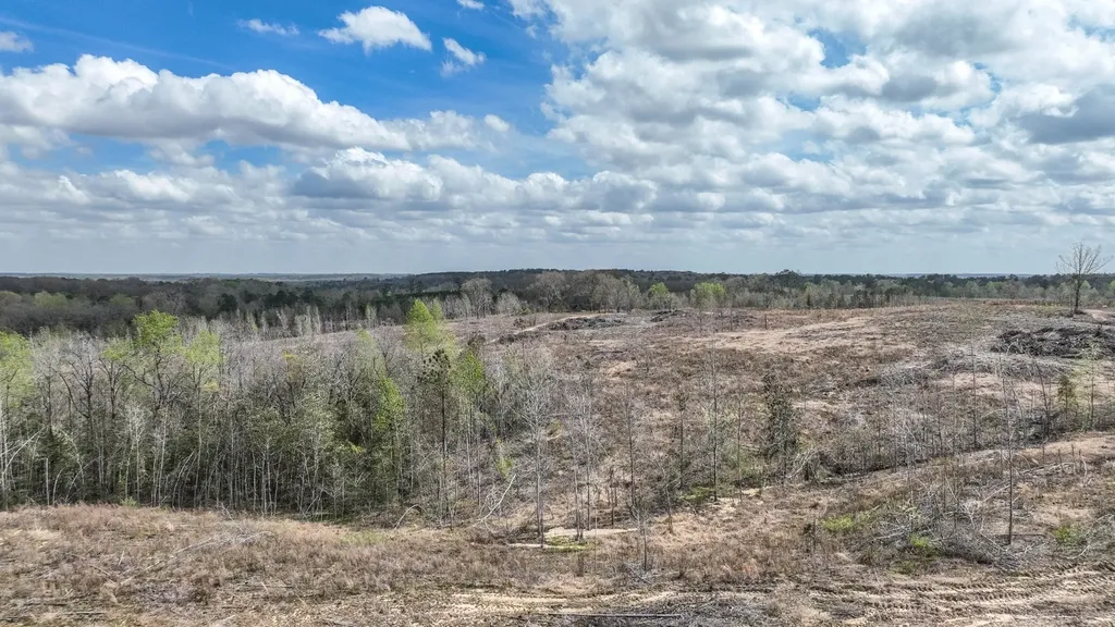 919 County Road 6628 Banks AL 36005