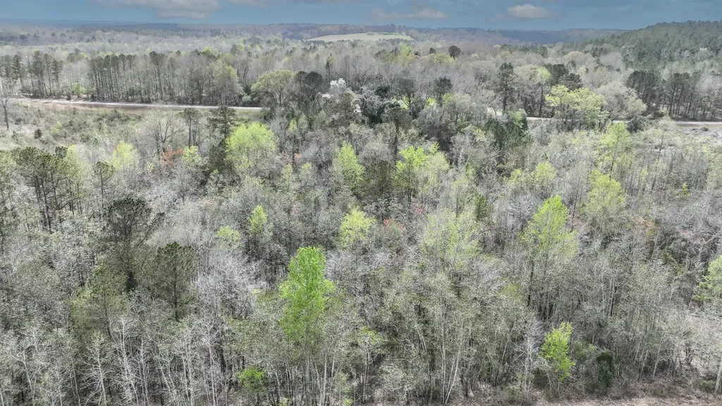 919 County Road 6628 Banks AL 36005