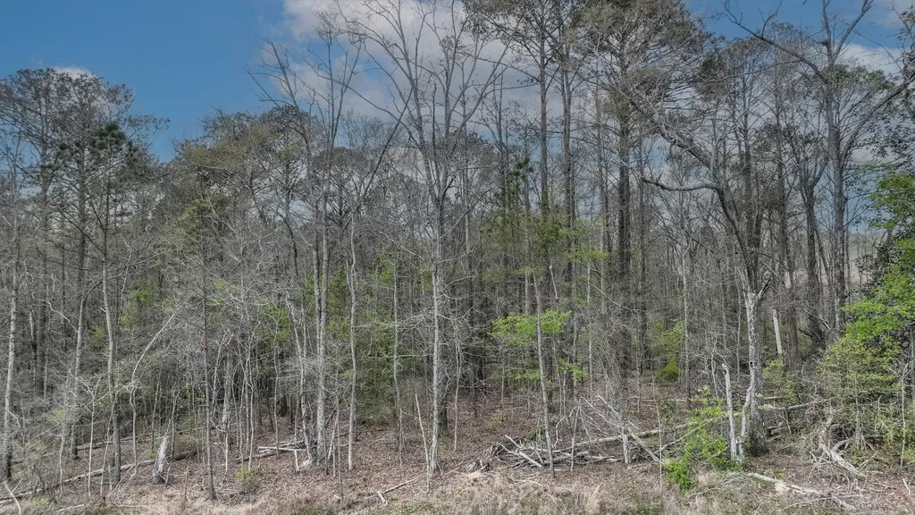 919 County Road 6628 Banks AL 36005