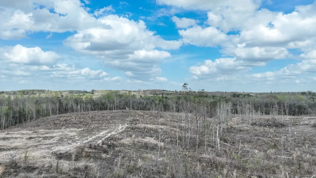 919 County Road 6628 Banks AL 36005