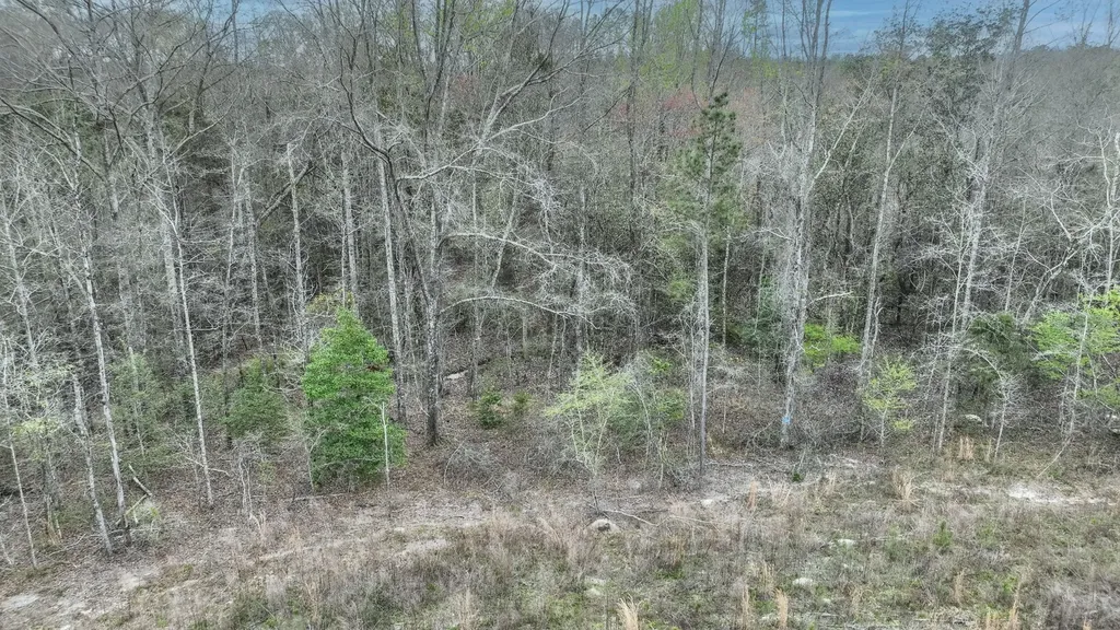 919 County Road 6628 Banks AL 36005