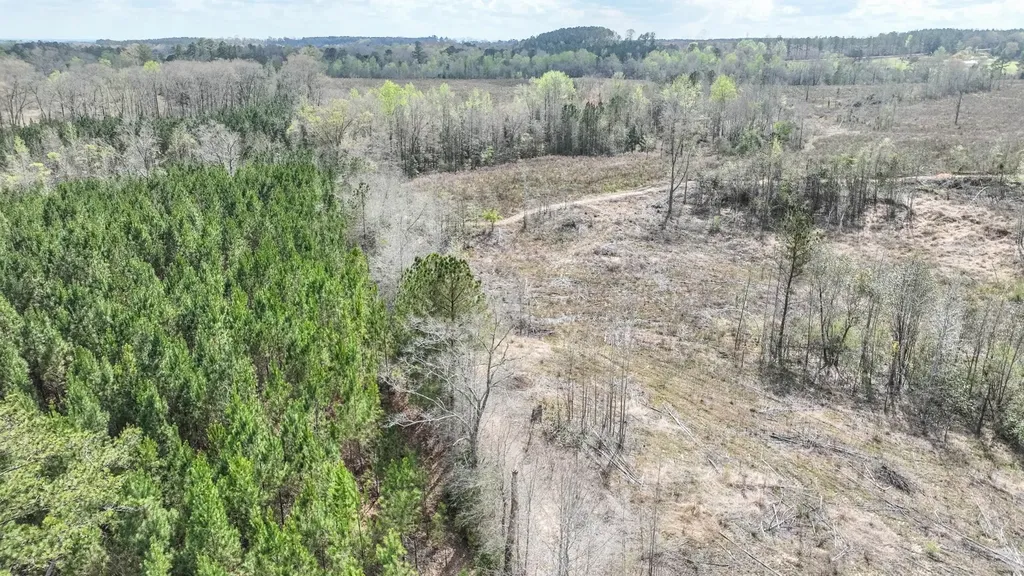 919 County Road 6628 Banks AL 36005