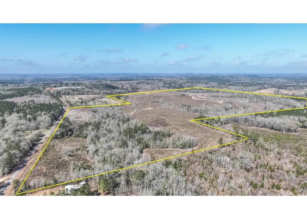 919 County Road 6628 Banks AL 36005