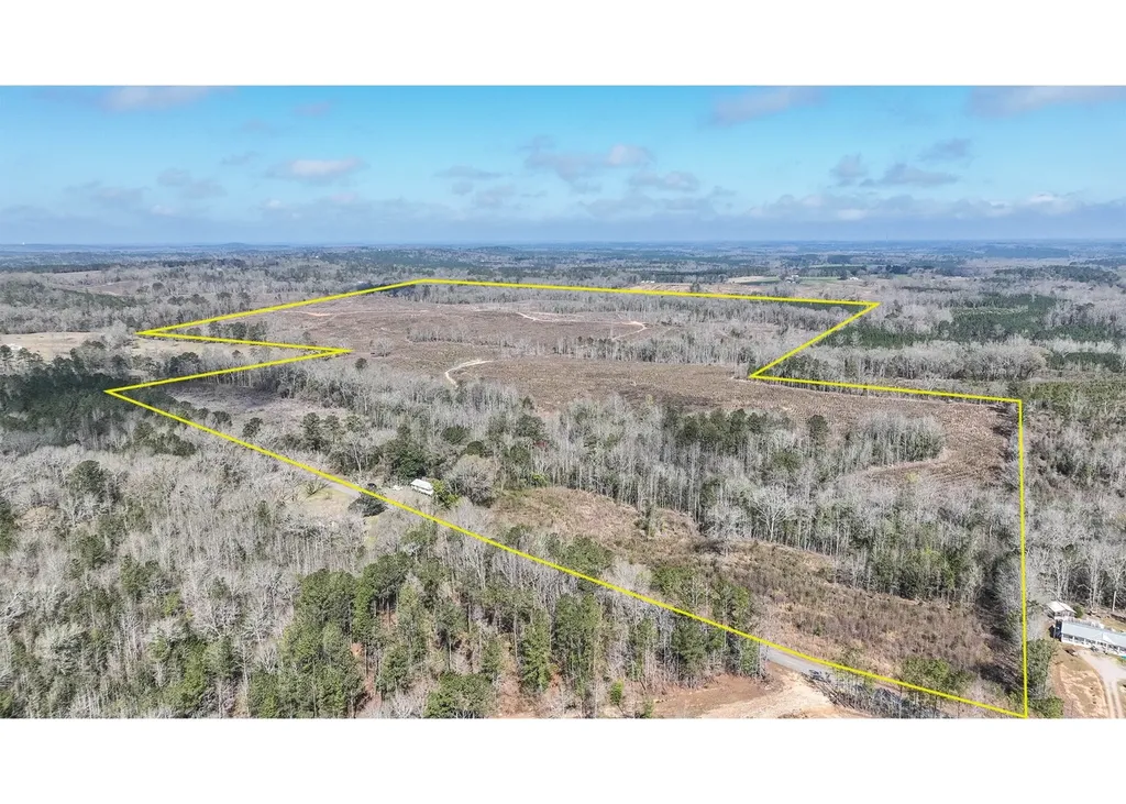 919 County Road 6628 Banks AL 36005