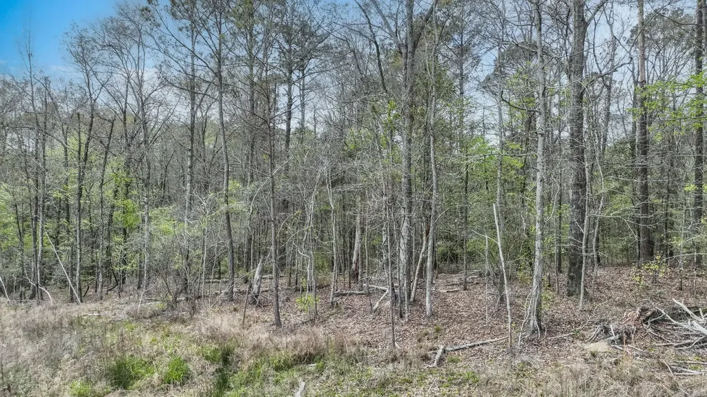919 County Road 6628 Banks AL 36005