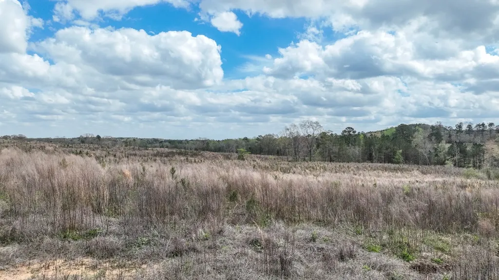 919 County Road 6628 Banks AL 36005