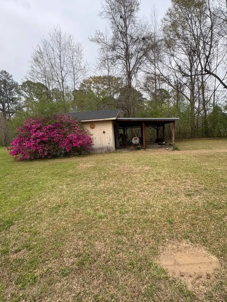 216 Colonial Drive Butler AL 36904
