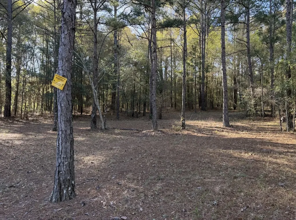 0 Peacock Parkway Ozark AL 36360