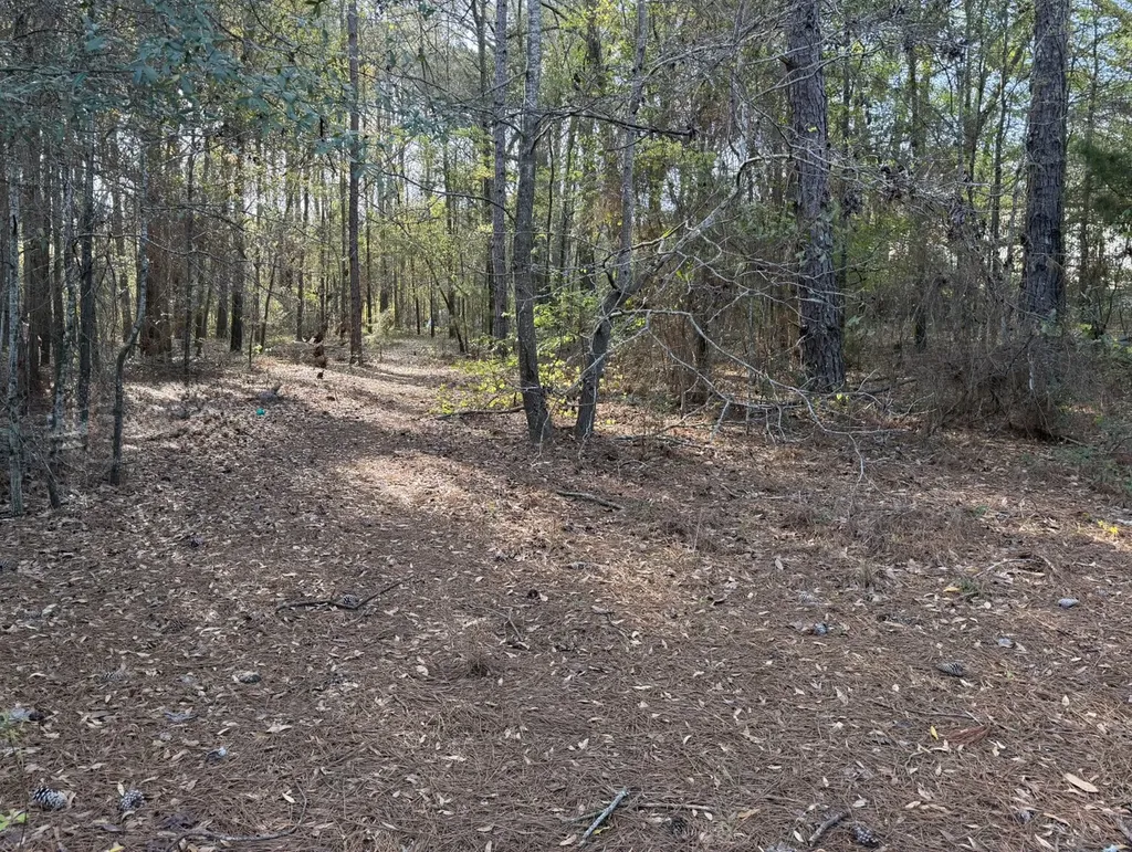 0 Peacock Parkway Ozark AL 36360
