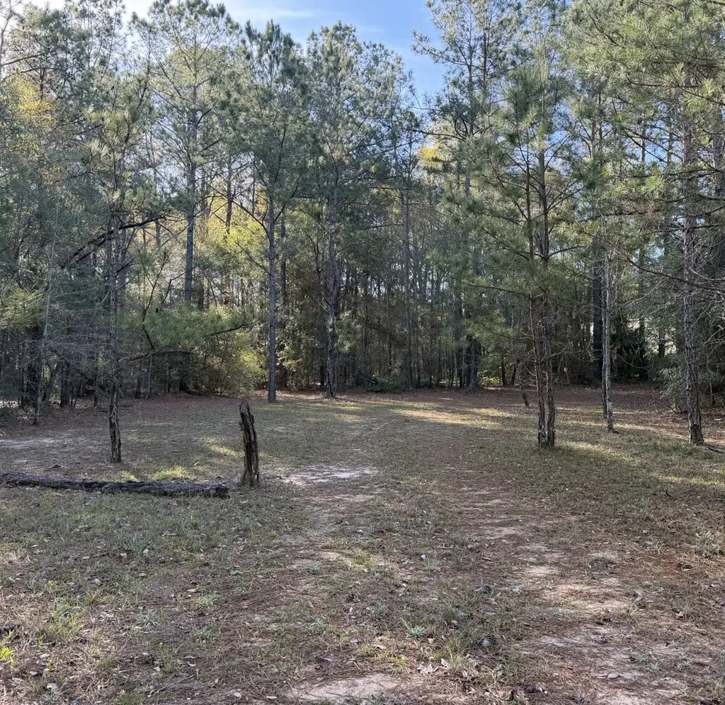 0 Peacock Parkway Ozark AL 36360