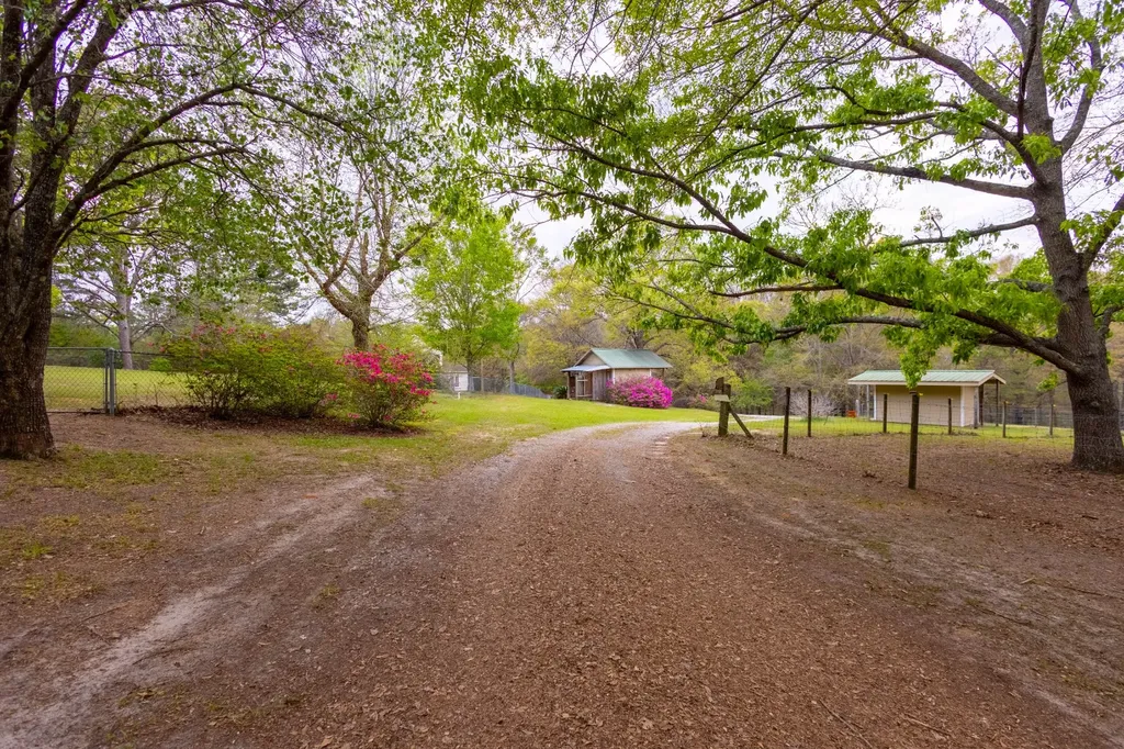 11091 Highway 51 New Brockton AL 36351