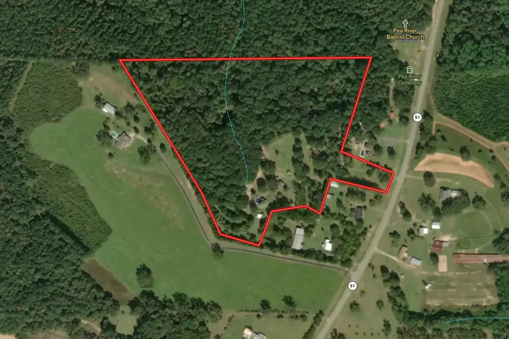 11091 Highway 51 New Brockton AL 36351