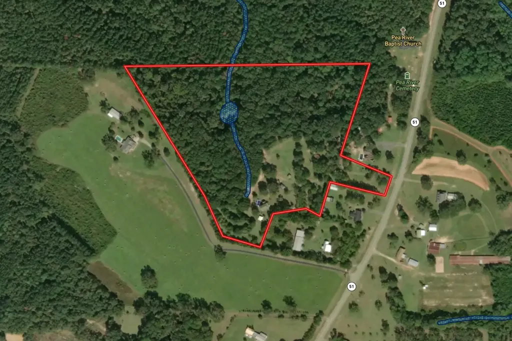 11091 Highway 51 New Brockton AL 36351