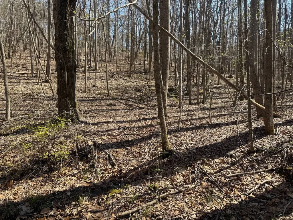 Lot 18 Co Road 166 Ft Payne AL 35967