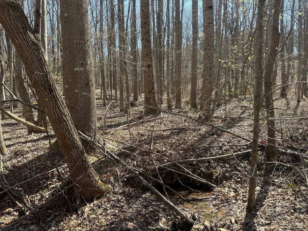 Lot 18 Co Road 166 Ft Payne AL 35967