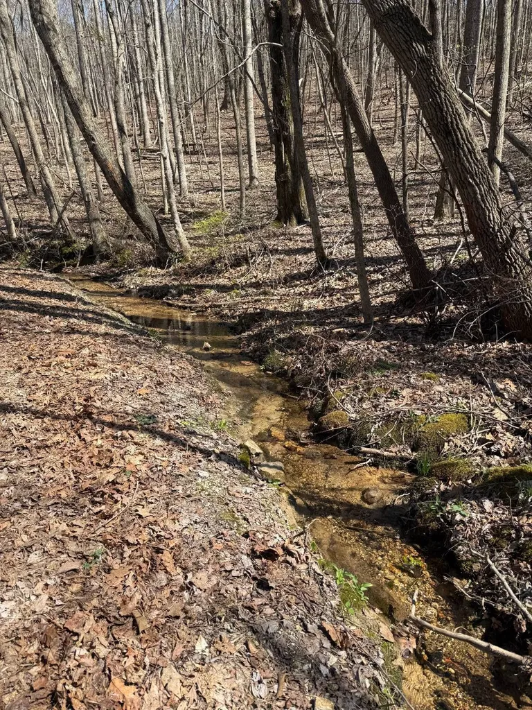 Lot 18 Co Road 166 Ft Payne AL 35967