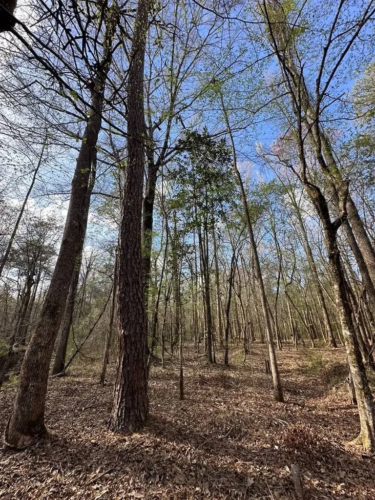 830 Stoddard Drive Wetumpka AL 36093