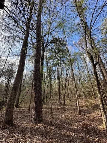 830 Stoddard Drive Wetumpka AL 36093