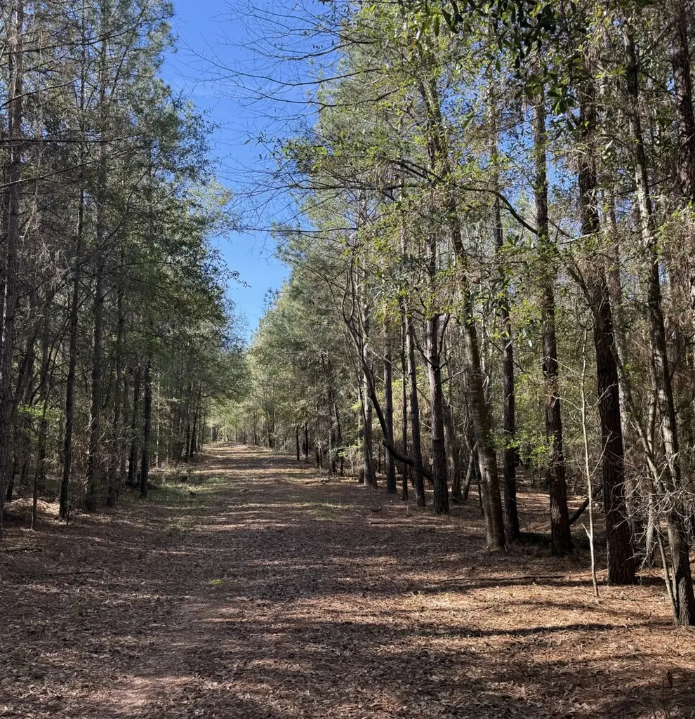 0 County Road 3 Headland AL 36345