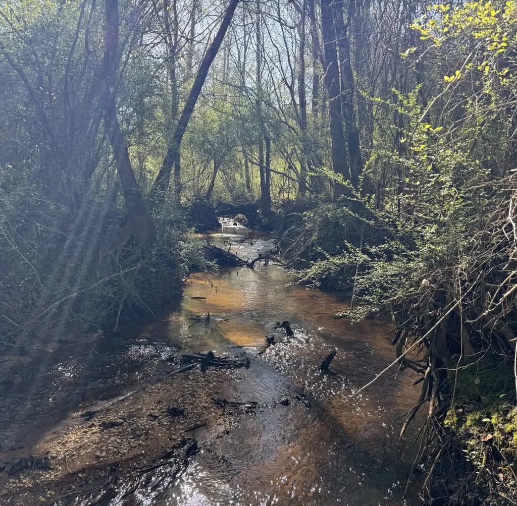 0 County Road 3 Headland AL 36345
